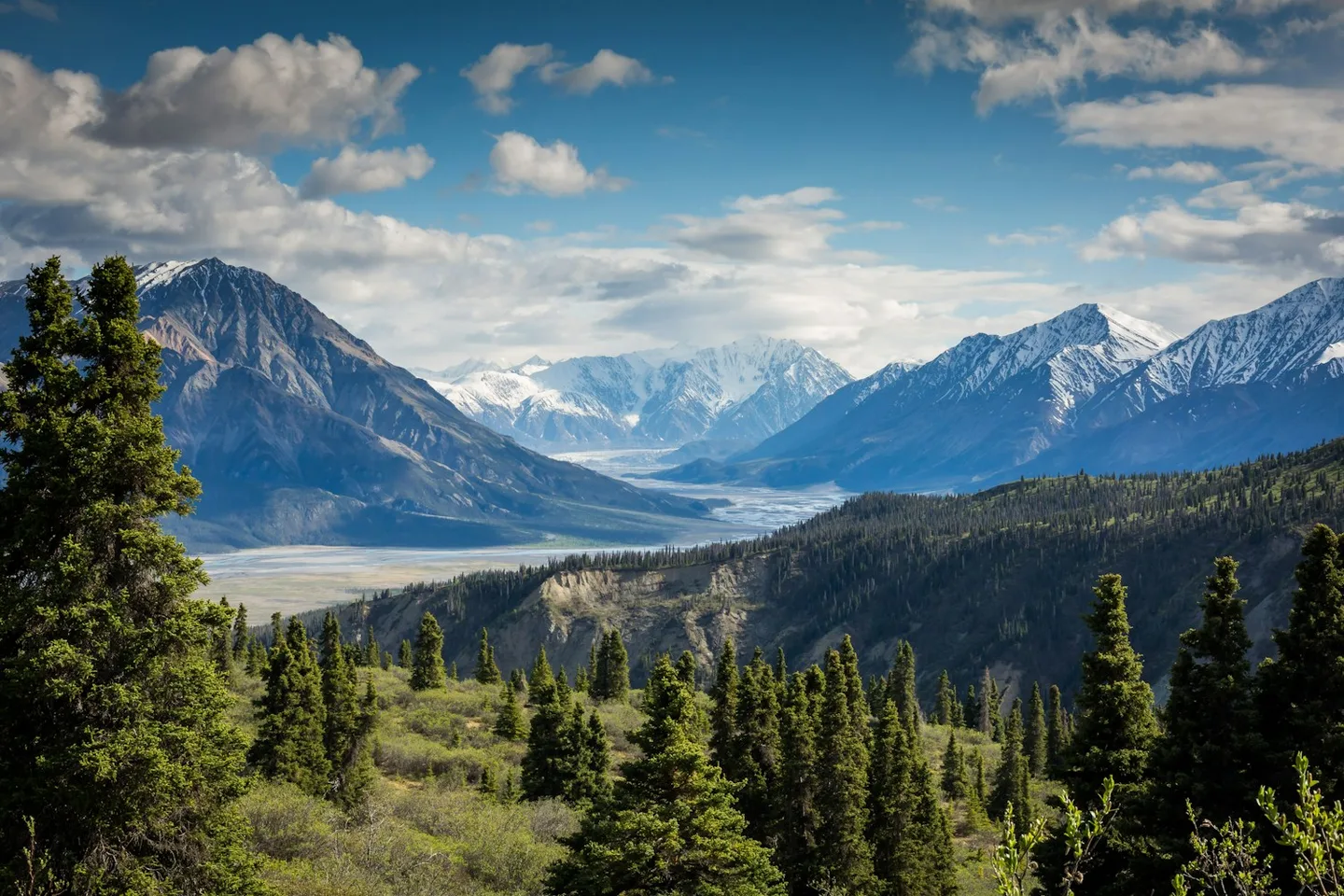 A mountain valley lined with evergreen trees